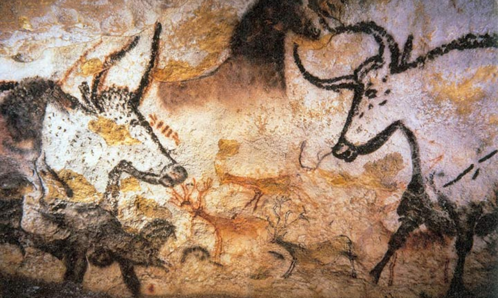 animali