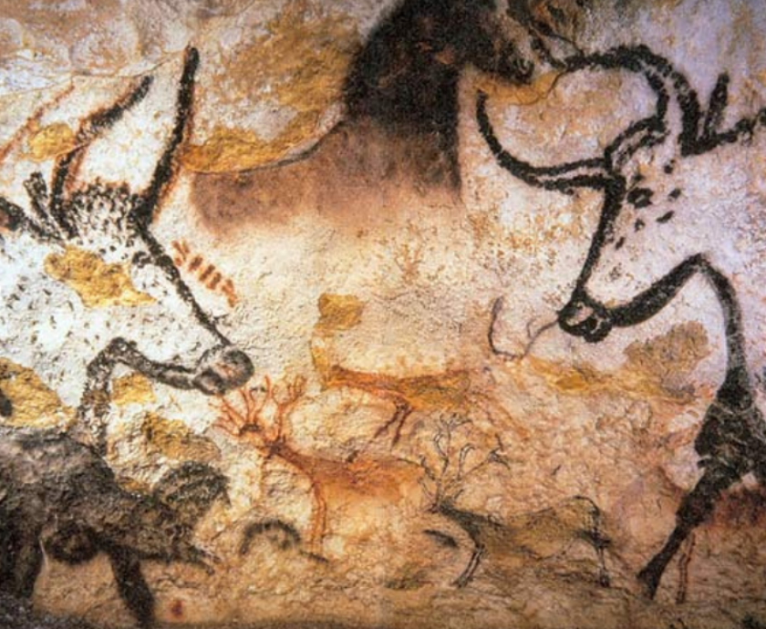 animali